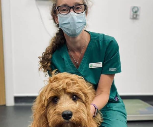 senior female vet with a dog