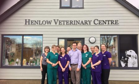Henlow Vets