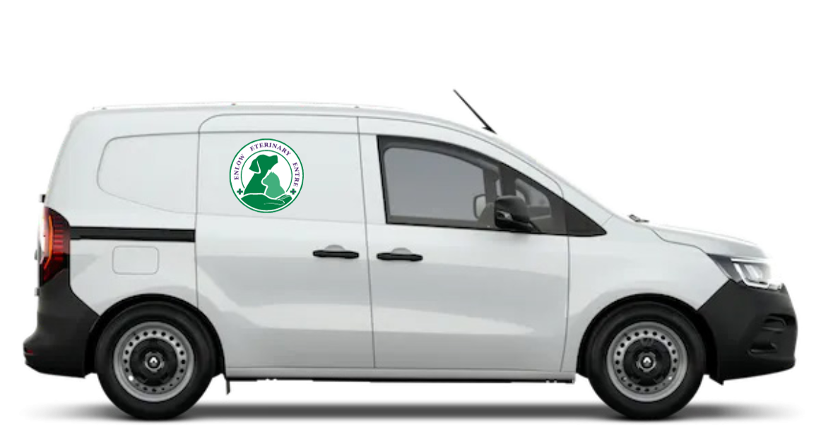 Untitled design-66 Untitled design-66